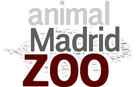 Preis pronokal madrid Preis